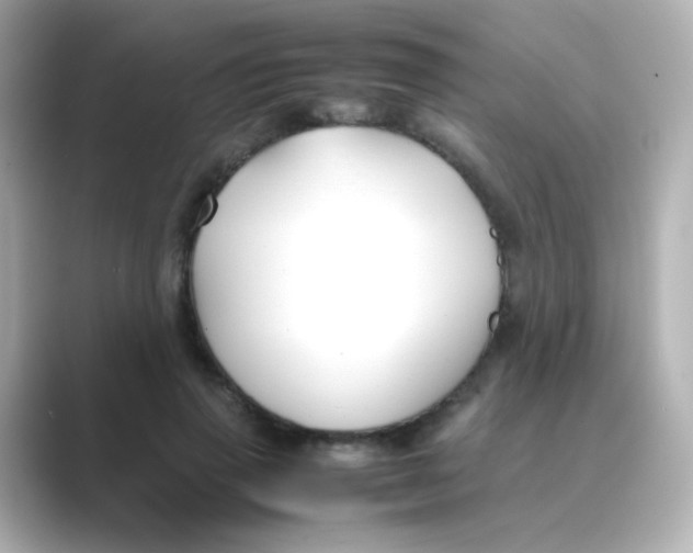 X0000088680645200706211909