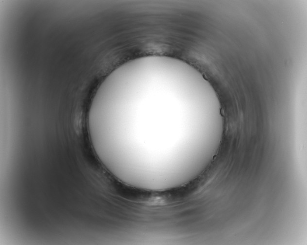 X0000088680647200706211910