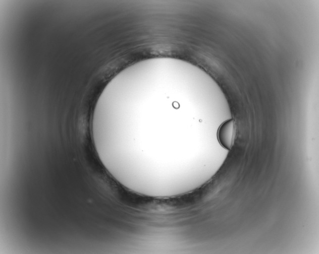 X0000088680648200706211910