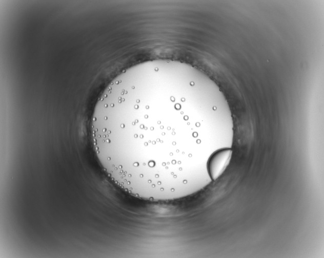 X0000088680654200706211910