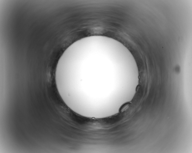 X0000088680655200706211910