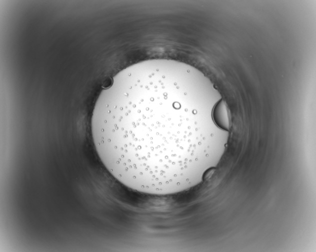 X0000088680659200706211910