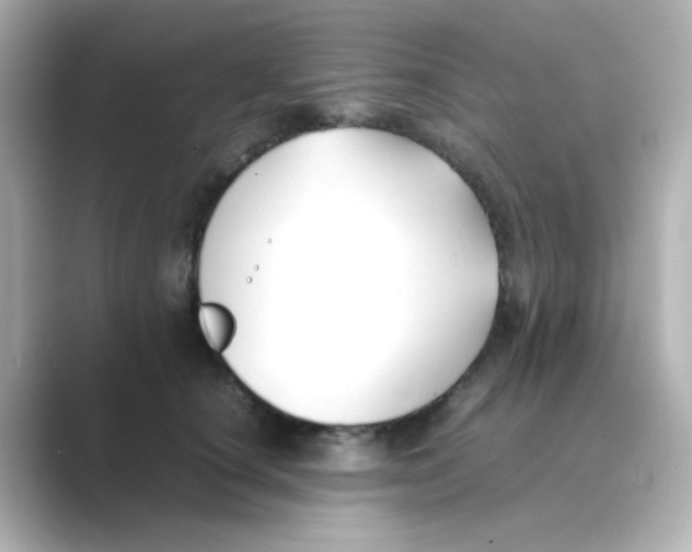 X0000088680660200706211910