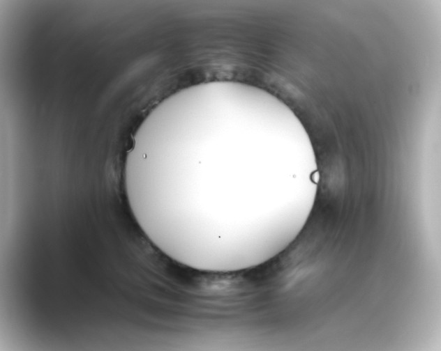 X0000088680661200706211910