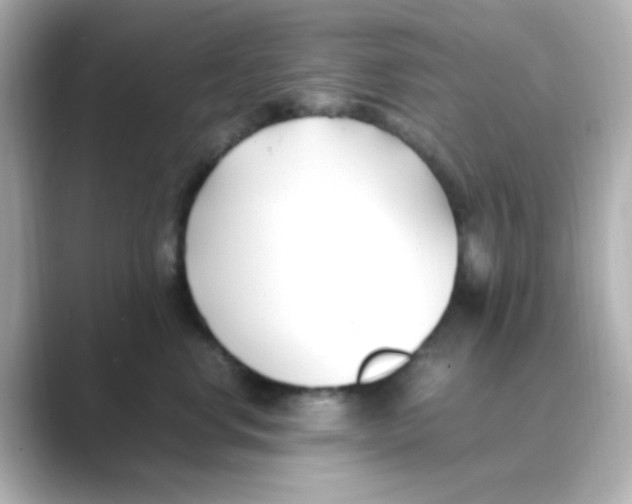 X0000088680668200706211910