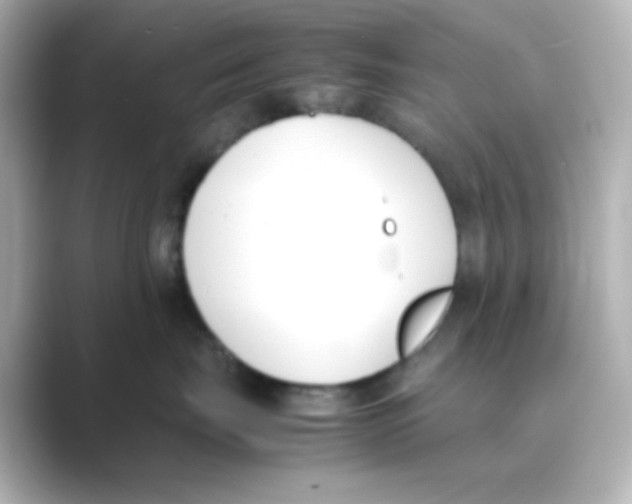 X0000088680671200706211910
