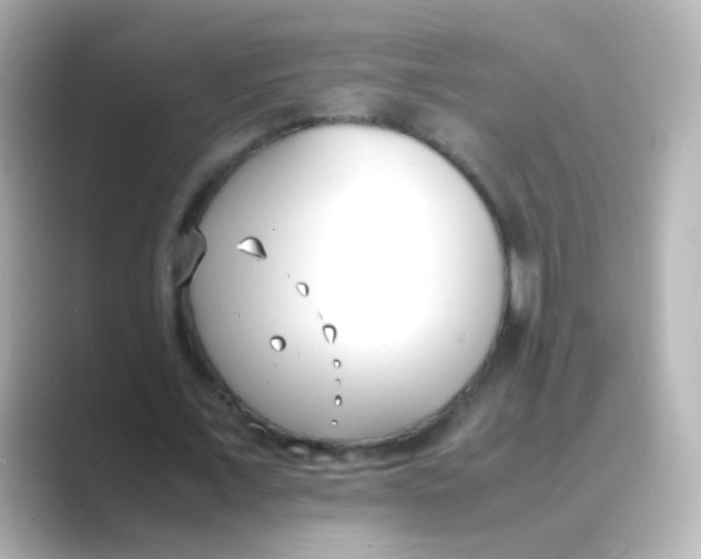 X0000088680675200706211909