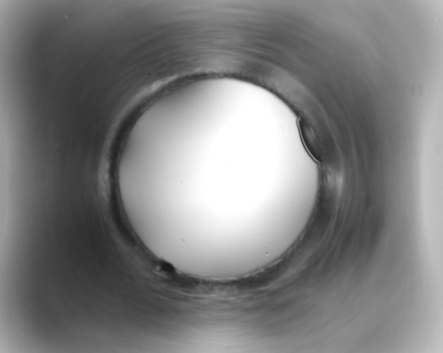 X0000088680676200706211909