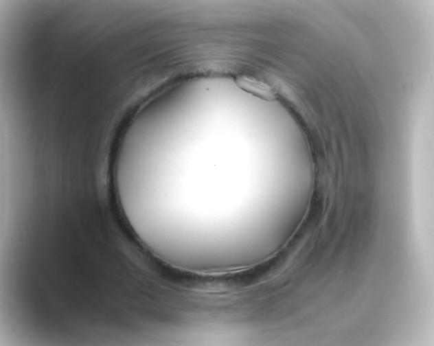 X0000088680677200706211909