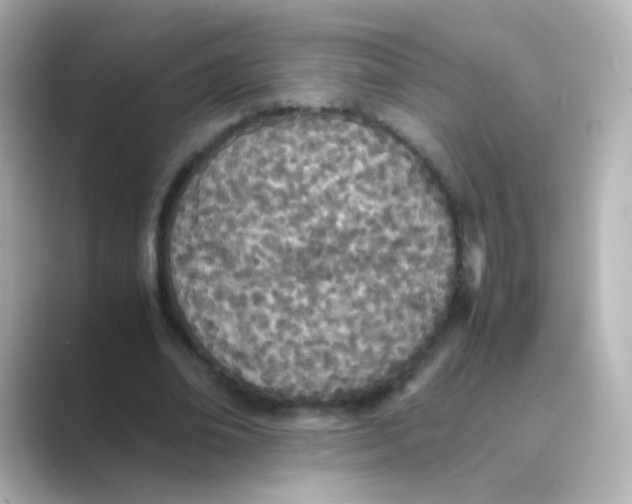 X0000088680678200706211909