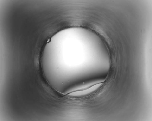 X0000088680681200706211909