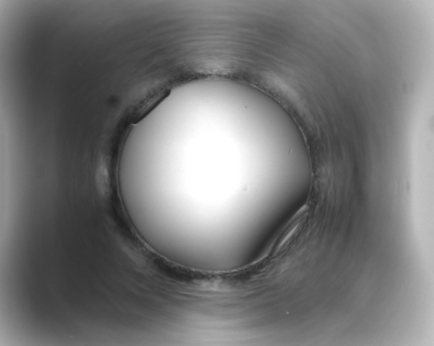 X0000088680688200706211909