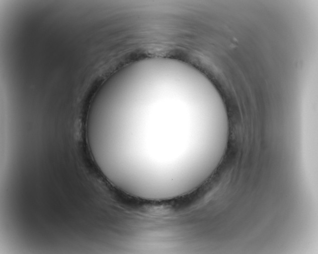 X0000088680689200706211909