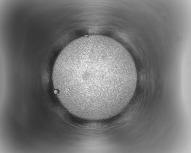 X0000088680691200706211909