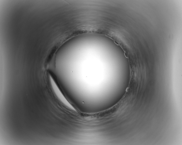 X0000088680692200706211909