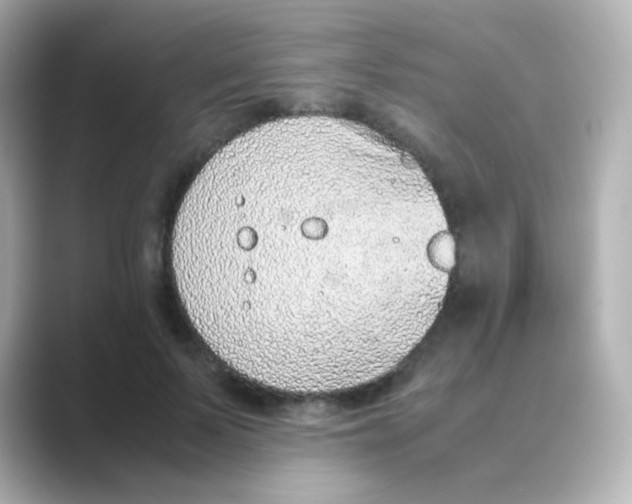 X0000088680695200706211909
