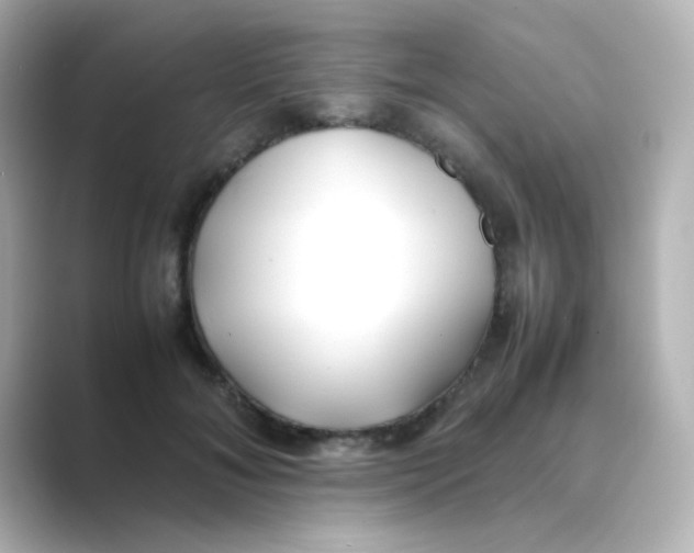 X0000088680700200706211909