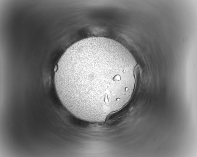 X0000088680703200706211909
