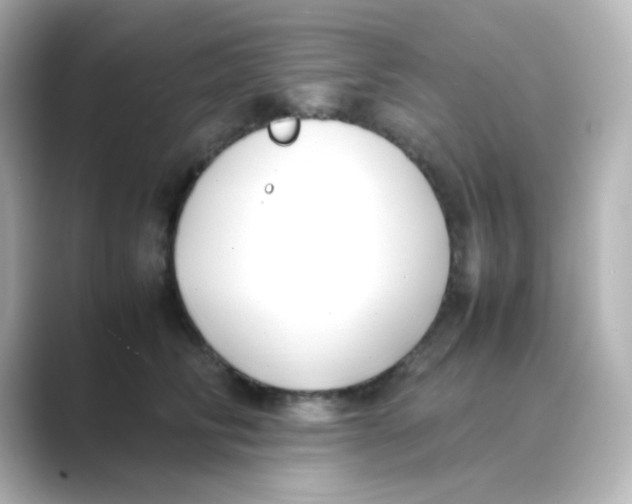 X0000088680710200706211909