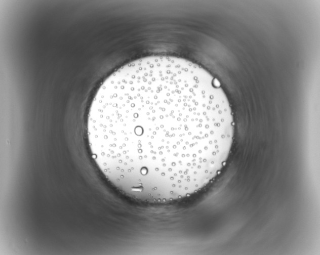 X0000088680721200706211908