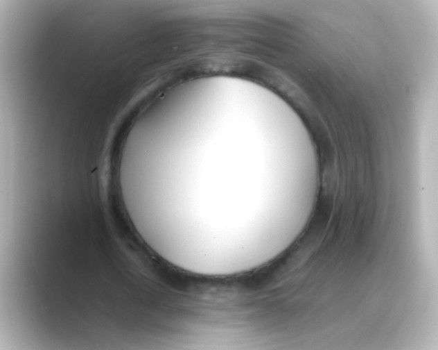 X0000088680722200706211908
