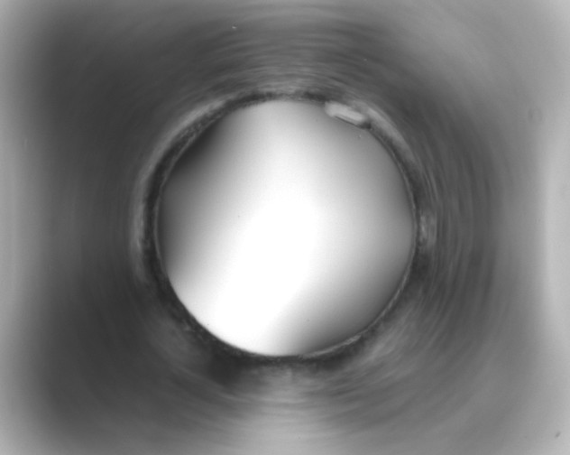 X0000088680724200706211908