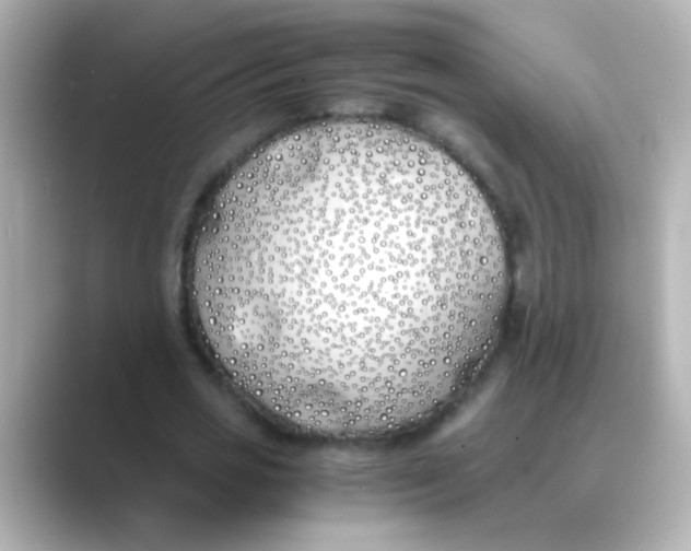 X0000088680725200706211908