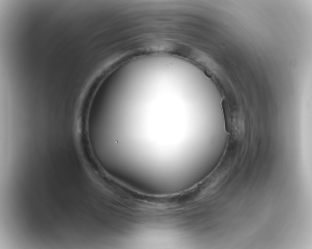 X0000088680726200706211908