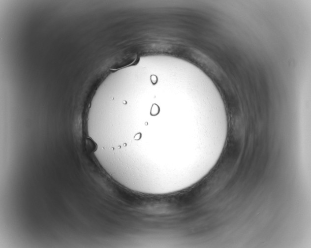 X0000088680729200706211908