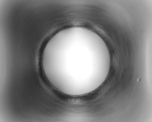 X0000088680730200706211908