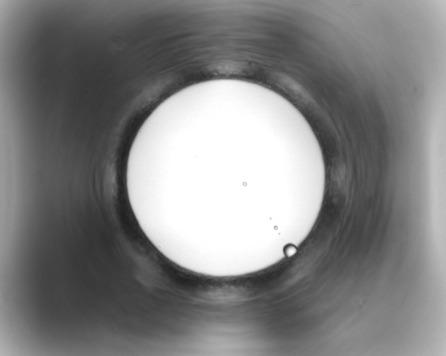 X0000088680734200706211908
