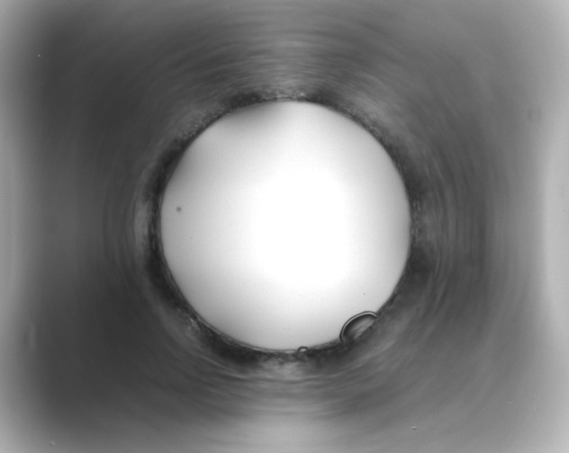 X0000088680742200706211908