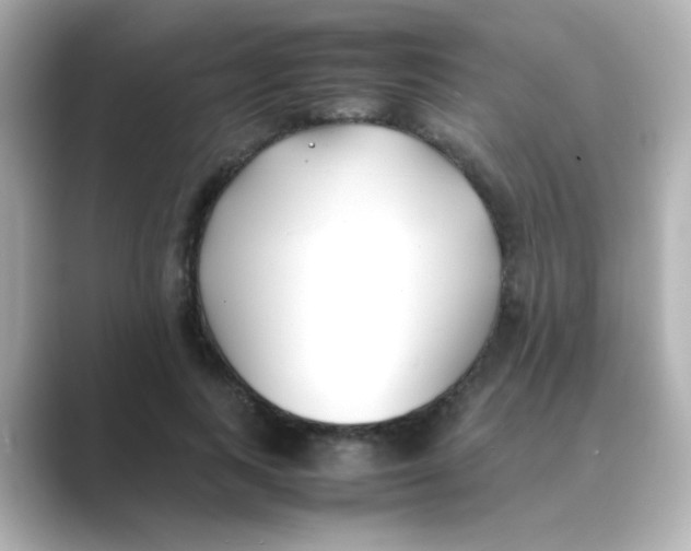 X0000088680743200706211908