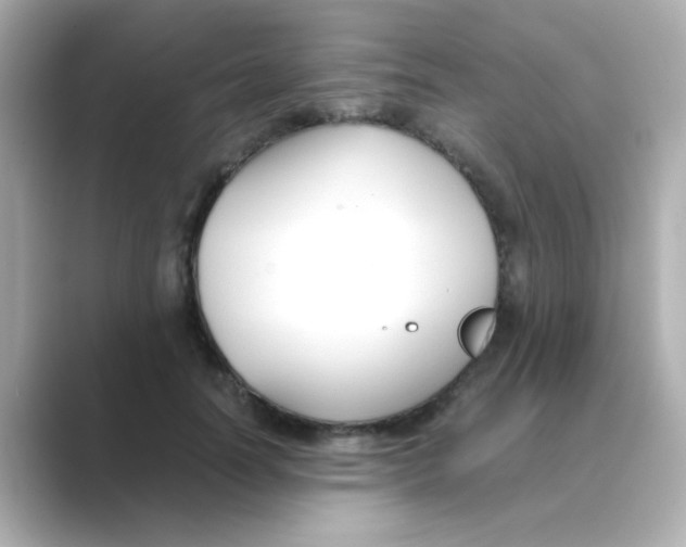 X0000088680746200706211908