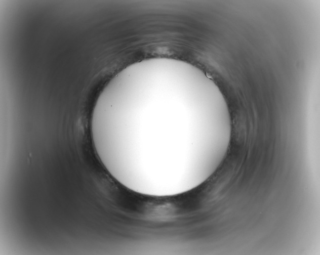 X0000088680747200706211908