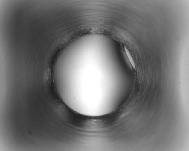 X0000088680748200706211908