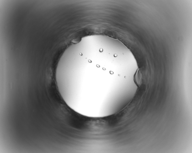 X0000088680752200706211909