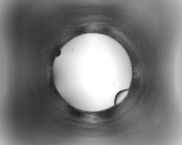X0000088680753200706211909