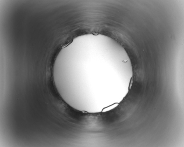 X0000088680756200706211909