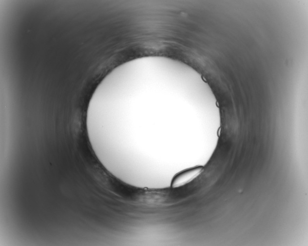 X0000088680758200706211909