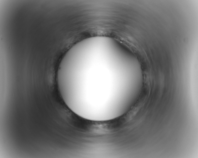 X0000088680760200706211909