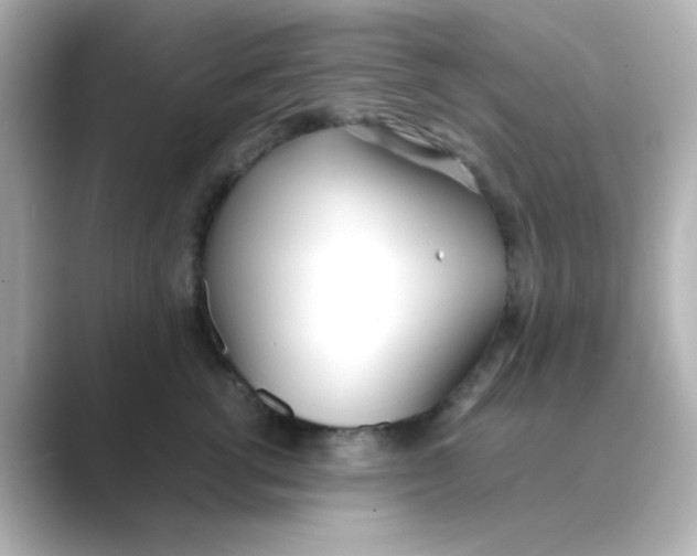 X0000088680762200706211909