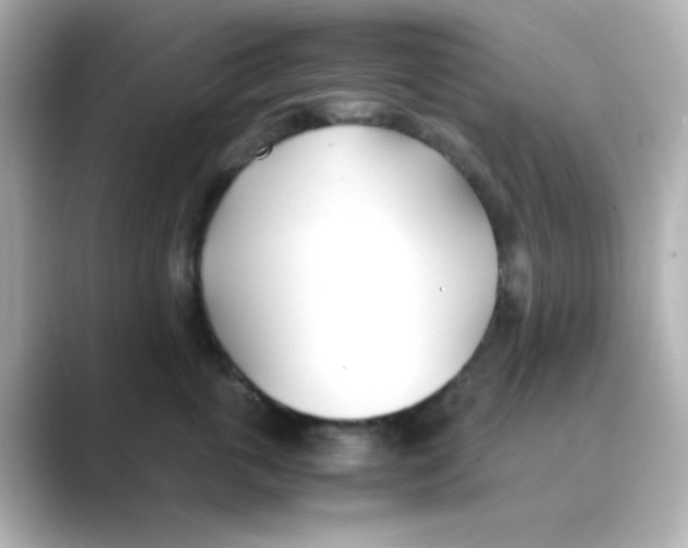 X0000088680763200706211909