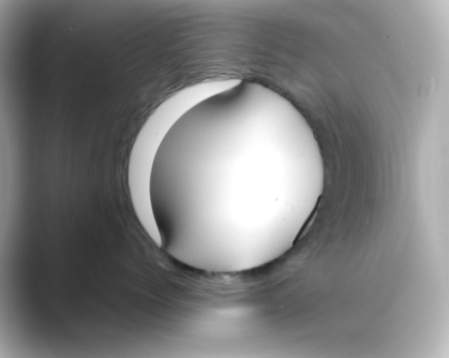 X0000088680768200706211909