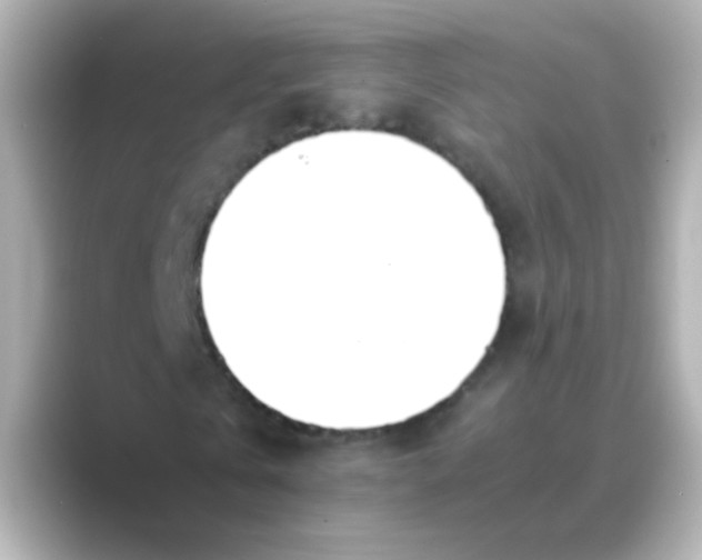 X0000088680769200706211908