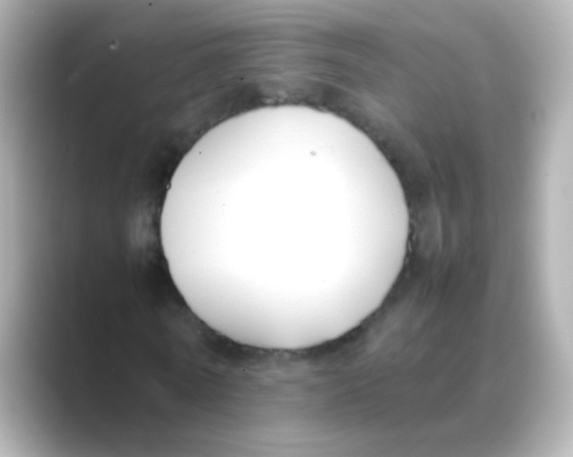 X0000088680770200706211908