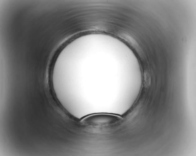 X0000088680780200706211908