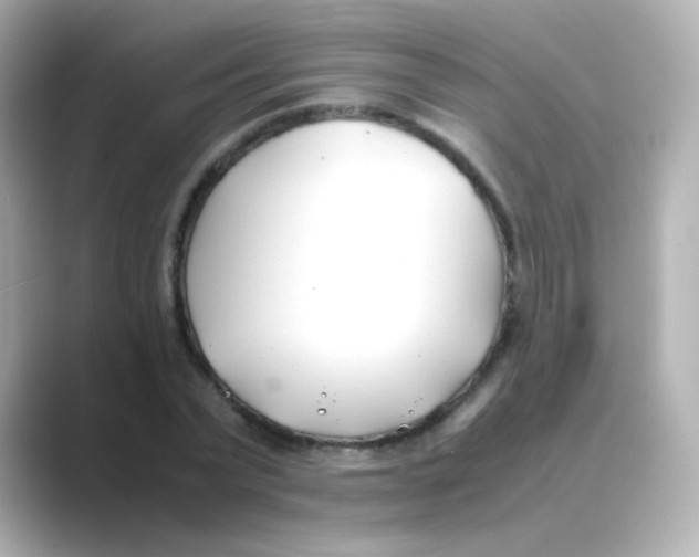 X0000088680783200706211908