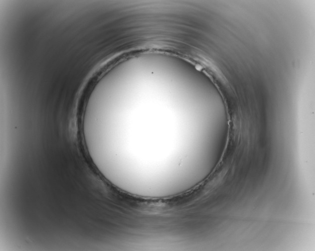 X0000088680784200706211908