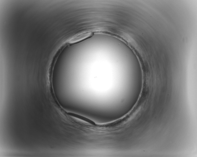 X0000088680789200706211908